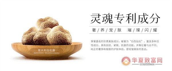 斑小将加盟